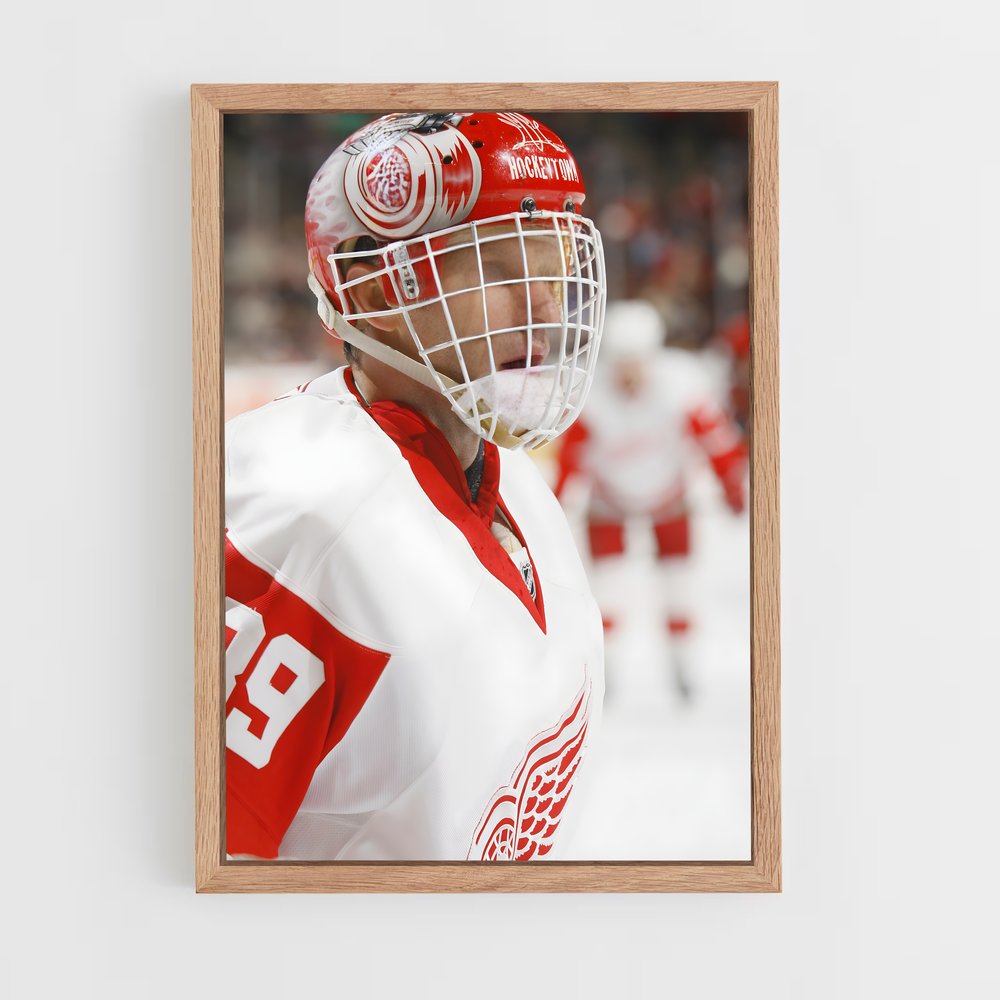 Poster Dominik hasek – affiche Hockey sur glace (vue 4)